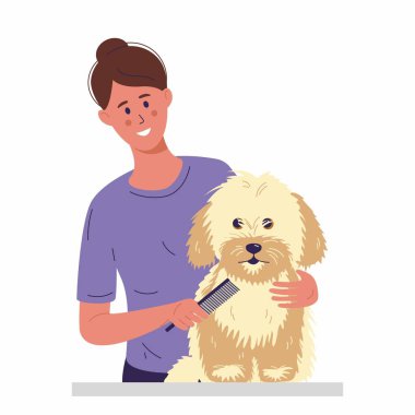 Genç bir kadın uzun kürklü küçük bir köpeği tarıyor. Evcil hayvanlara bakıyorum. Düz biçimli vektör illüstrasyonu.