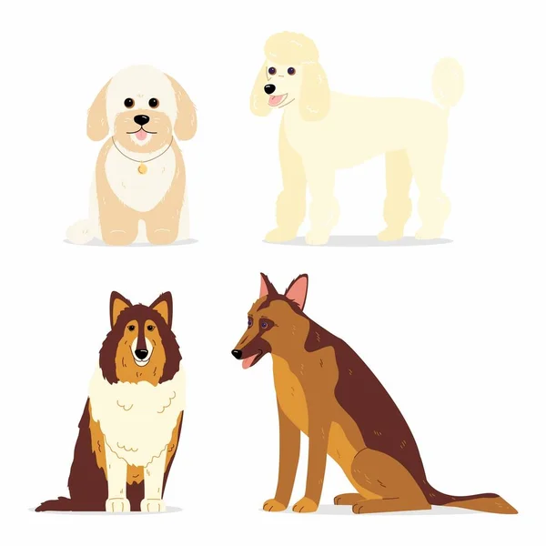 Dogs Collection Vector Illustration Various Breeds Dogs Mini Poodle Collie — Stock Vector