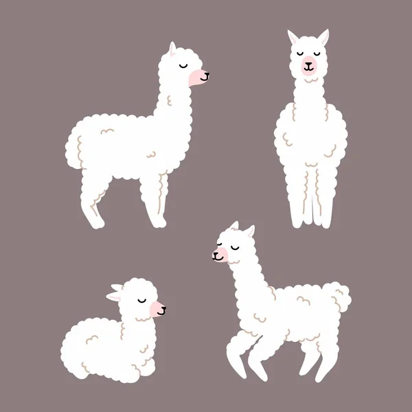 Lama Blanc Collection Alpaga Illustration Design Mignon Pour Conception Pépinière — Image vectorielle