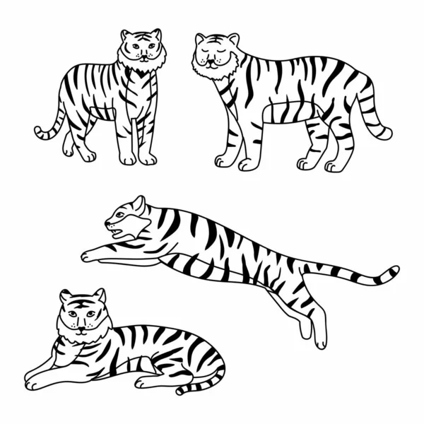 Conjunto Tigres Grandes Colección Retratos Gatos Salvajes Depredadores Conjunto Pobladores — Archivo Imágenes Vectoriales