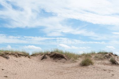 Yazın Finlandiya, Yyteri 'de güzel kumlu plajlar
