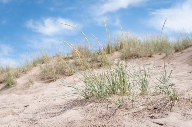 Yazın Finlandiya, Yyteri 'de güzel kumlu plajlar