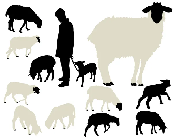 Sheep vector silhouettes — Stock Vector
