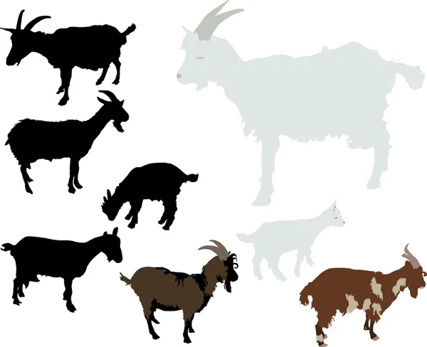 Векторный силуэт коз — стоковый вектор