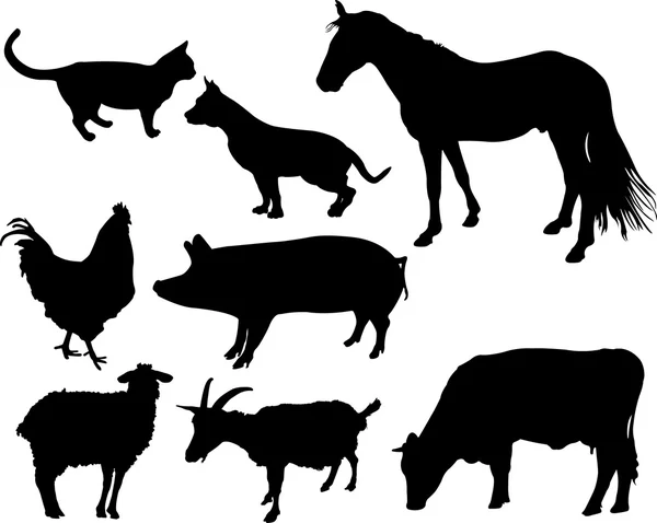 农场动物 — 图库矢量图片