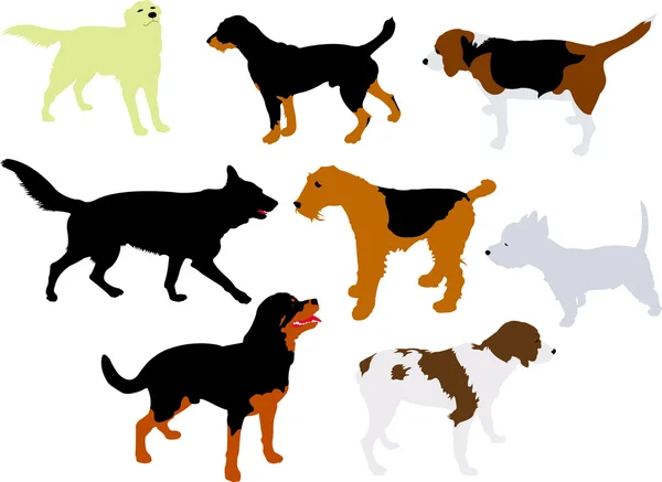 Silueta vector perros — Vector de stock