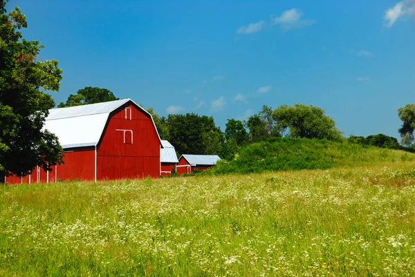 Red Barn Bright Sunny Day Summer Upper New York State 스톡 사진