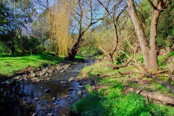 Una Tarde Soleada Parque Urbano Murrey Creek Melbourne Australia — Foto de Stock