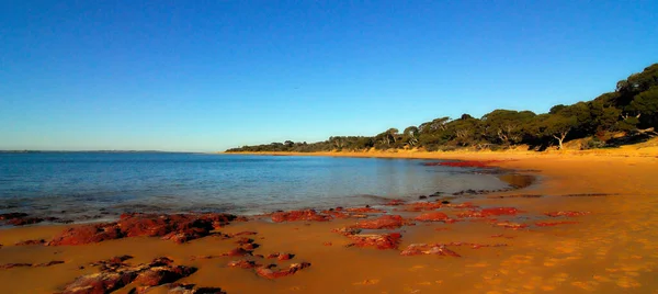 澳大利亚维多利亚州菲利普岛海滩上的红岩与沙滩 — 图库照片