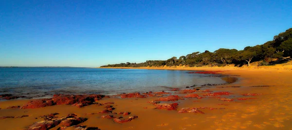 Red Rocks Och Sand Stranden Vid Phillip Island Victoria Australien — Stockfoto