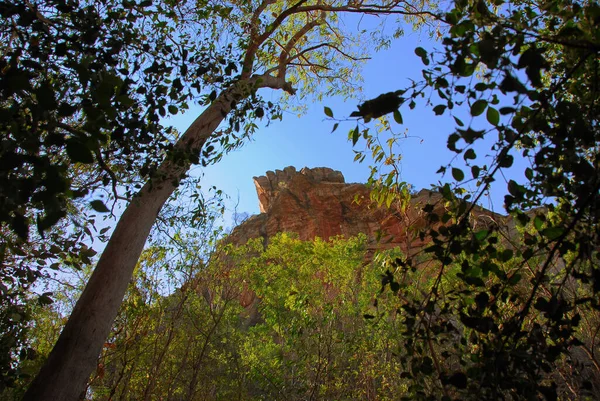 Cima Montañosa Roca Roja Interior Del Territorio Del Norte Australia —  Fotos de Stock