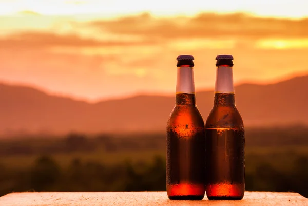 Nahaufnahme von zwei Bierflaschen. — Stockfoto