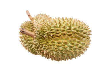 Durian beyaz arkaplanda izole edildi