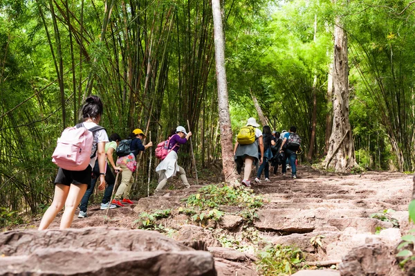 yürüyüş yürüyüş yapan grup