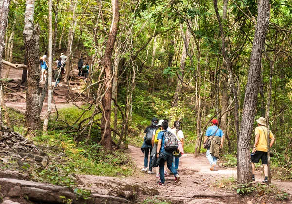yürüyüş yürüyüş yapan grup