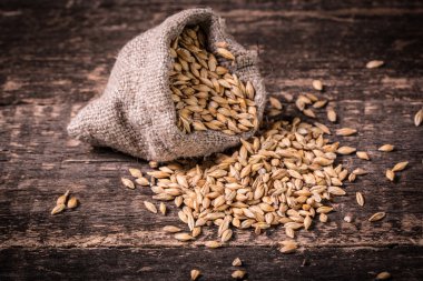 arpa ve ahşap masa, bira atlama sayısının