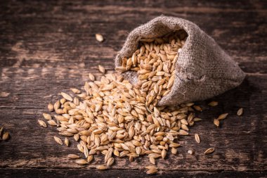 arpa ve ahşap masa, bira atlama sayısının