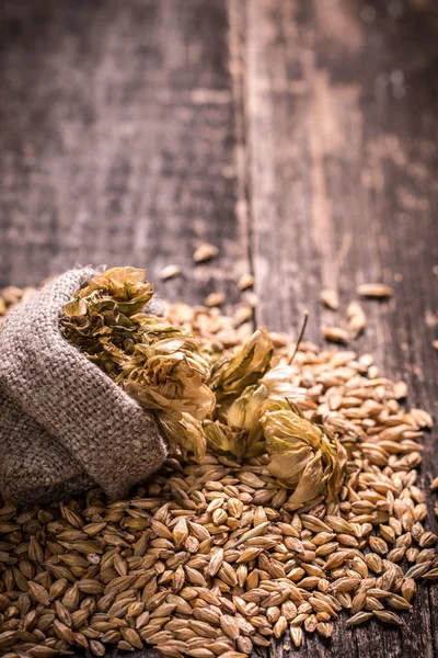 Ječmen a chmel na dřevěný stůl, pivo — Stock fotografie