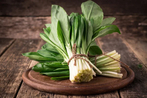 Récolte fraîche de feuilles de ramson de printemps ou de poireau sauvage sur fond de table en bois vintage — Photo