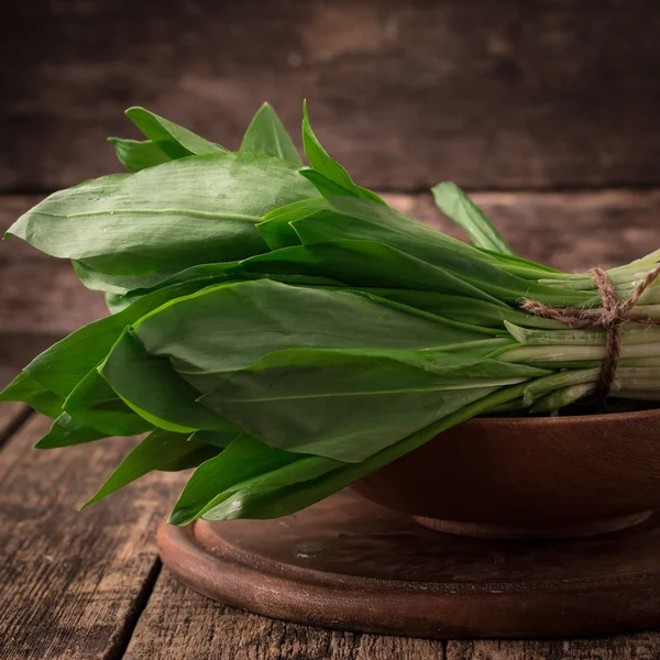 Colheita fresca de ramson primavera ou erva de alho-poró selvagem deixa cacho no fundo da mesa de madeira vintage — Fotografia de Stock