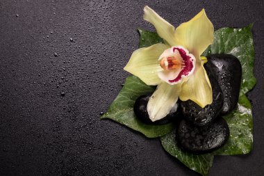 Spa konsept taşlar, çiçek, uçucu yağlar ve ahşap masa üzerinde mineral tuz 