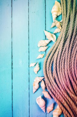 Deniz kabukları ahşap mavi zemin üzerine yaz zamanla kavramı