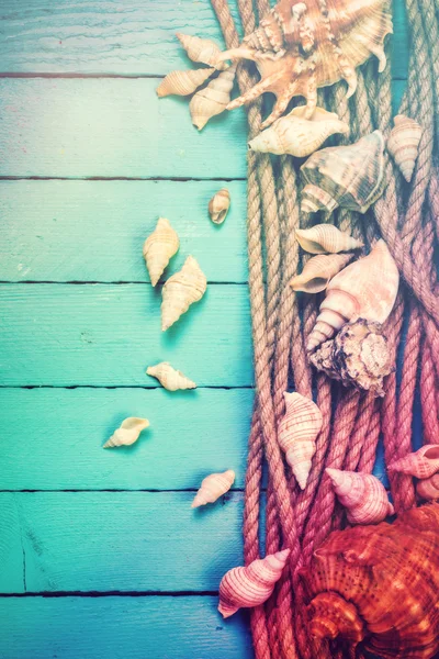 Concepto de la hora de verano con conchas marinas sobre el fondo azul de madera — Foto de Stock