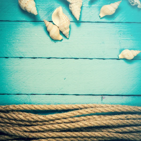 Concepto de la hora de verano con conchas marinas sobre el fondo azul de madera — Foto de Stock