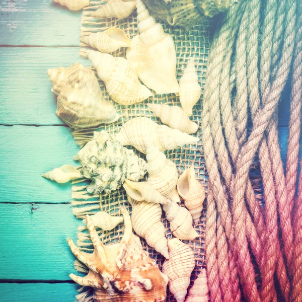 Concepto de la hora de verano con conchas marinas sobre el fondo azul de madera — Foto de Stock