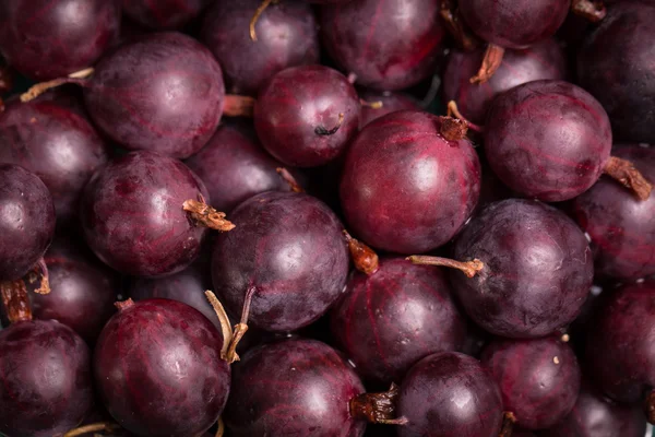 Färska sommarbär, hälsosam mat, trä bakgrund — Stockfoto