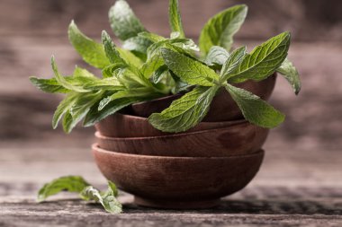 Tahta masada yeşil taze nane, seçici odak