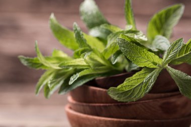 Tahta masada yeşil taze nane, seçici odak