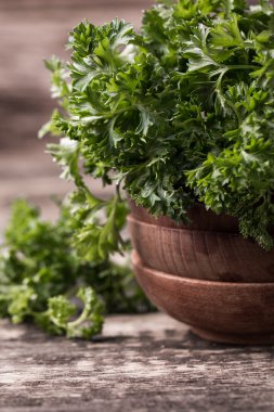 taze maydanoz ahşap yüzey, sağlıklı gıda üzerine bağlı