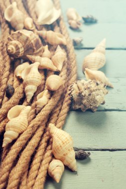 Yaz konsepti ile kumlu plaj, kabukları ve kordon.