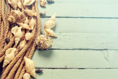 Yaz konsepti ile kumlu plaj, kabukları ve kordon.