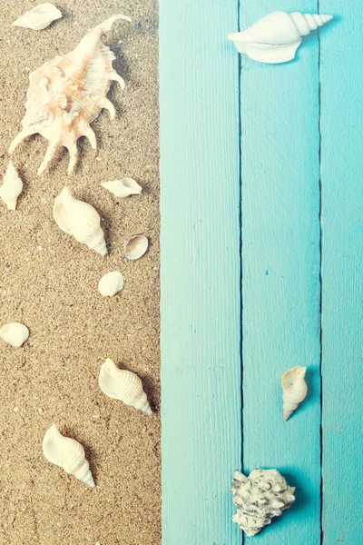 Concepto de verano con playa de arena, conchas y cordón . — Foto de Stock