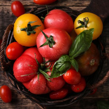 Renkli domates, kırmızı domates, sarı domates, portakal domates, yeşil domates. Domates arka plan. antika ahşap arka plan