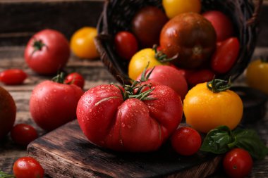 Renkli domates, kırmızı domates, sarı domates, portakal domates, yeşil domates. Domates arka plan. antika ahşap arka plan