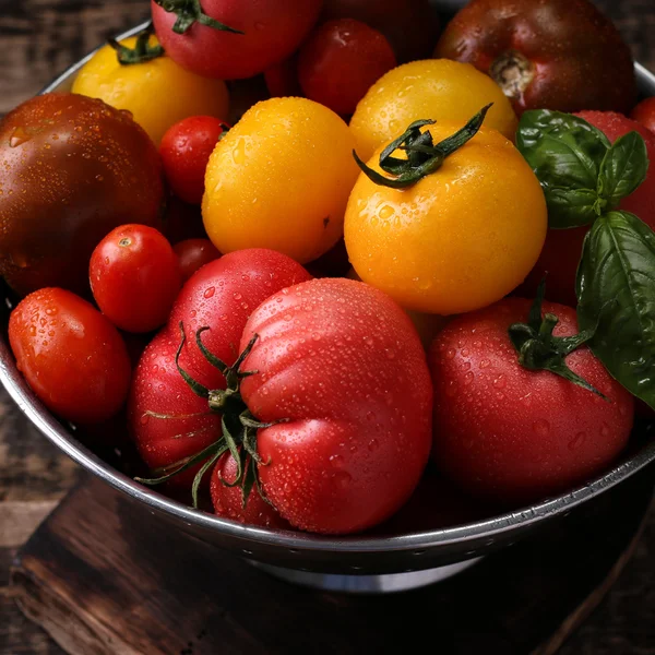 Barevné rajčata, červená rajčata, žlutá rajčata, oranžová rajčata, zelená rajčata. Rajčata pozadí. Vintage dřevěné pozadí — Stock fotografie