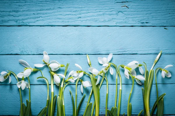 Concepto de Pascua con nevadas sobre fondo de madera — Foto de Stock