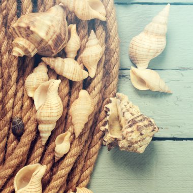 Yaz konsepti ile kumlu plaj, kabukları ve kordon.
