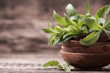 Tahta masada yeşil taze nane, seçici odak