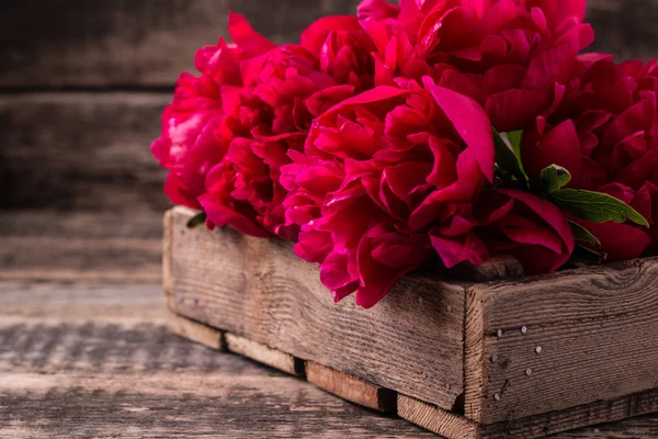 Bouquet of red peonies, copy space on wooden background — Stock Photo, Image