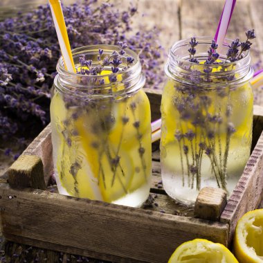 Lavanta limonata, doğal yenileme iç ahşap zemin üzerine