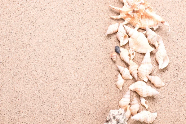 Concepto de verano con playa de arena, conchas y cordón . — Foto de Stock