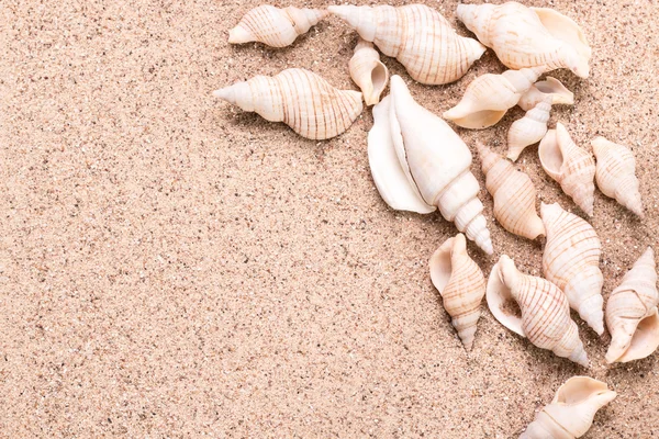 Concepto de verano con playa de arena, conchas y cordón . — Foto de Stock