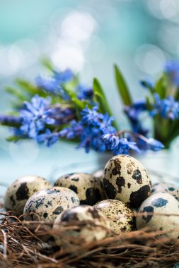 Ahşap arka plan üzerinde renkli yumurta Paskalya konseptiyle