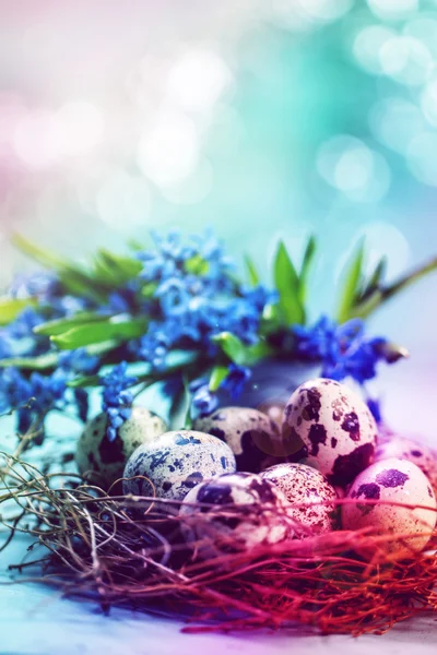 Easter concept with colorful eggs on wooden background — Stock Photo, Image