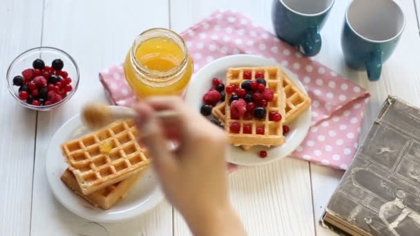 Waffeln mit Honig und Beeren — Stockvideo