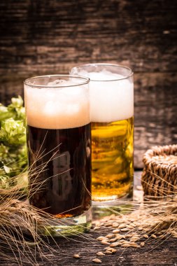 Tatmaya hazır uçuştaki çeşitli biralar, klasik filtre